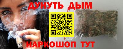 сатива Краснодар