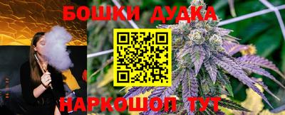 a pvp Краснознаменск