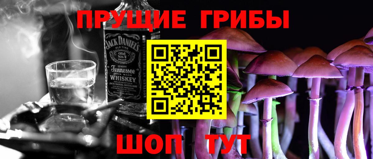 Кировск  Псилоцибиновые грибы Psilocybine cubensis  Вход с VPN 
