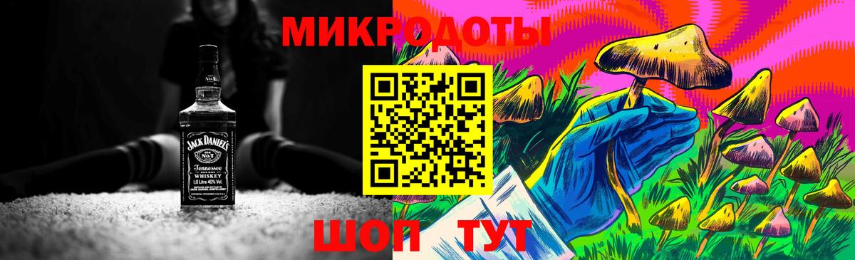 Псилоцибиновые грибы прущие грибы Кировск